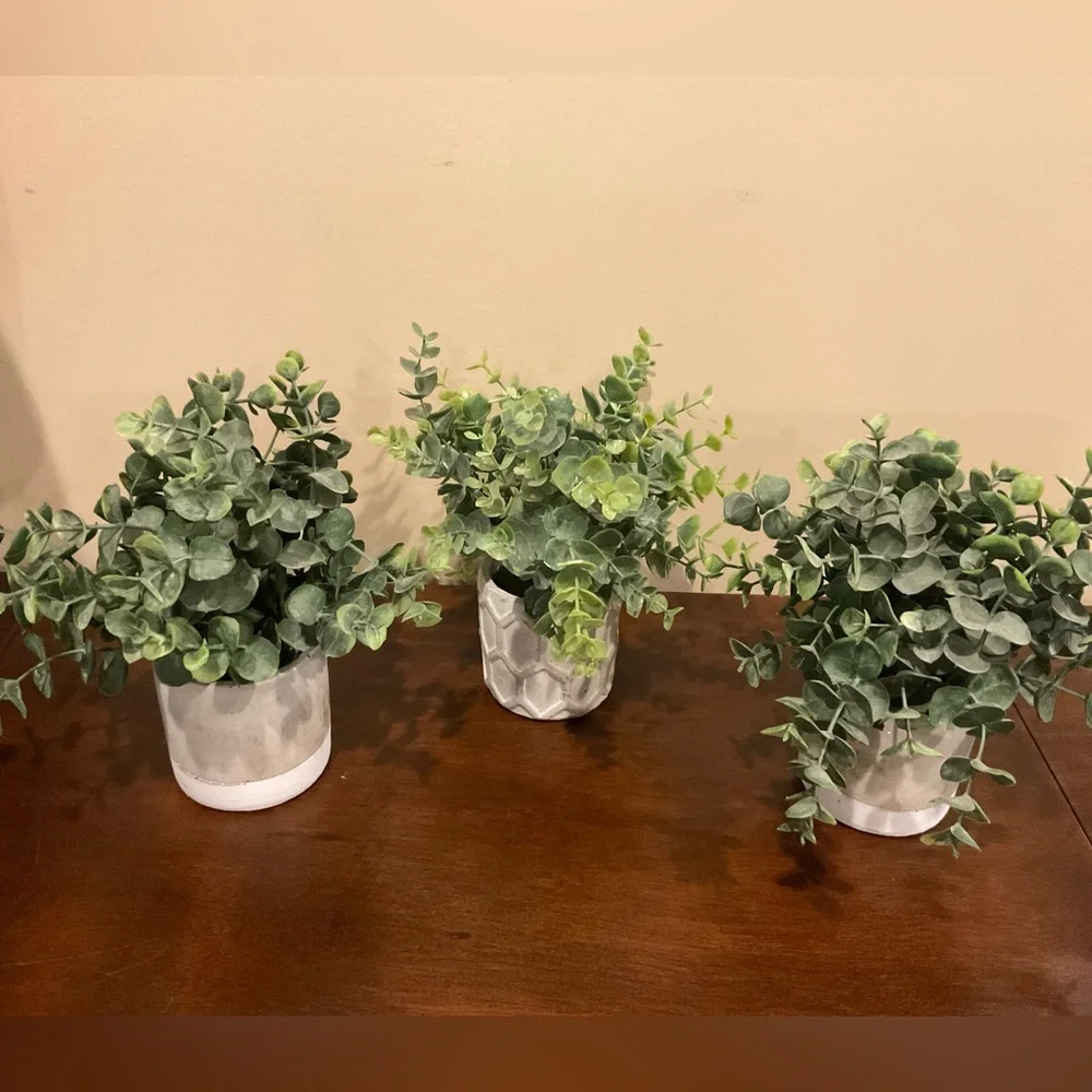 Three Decorative Faux Green Plants in Cement-Look Pots  🪴